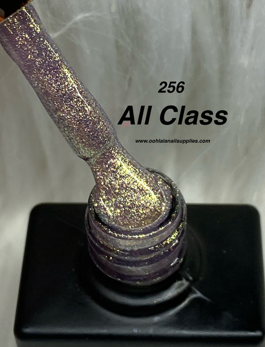 All Class - 256