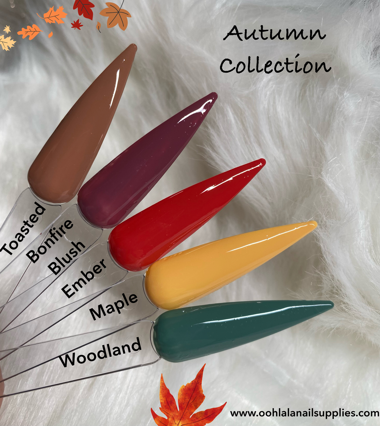 Autumn Collection