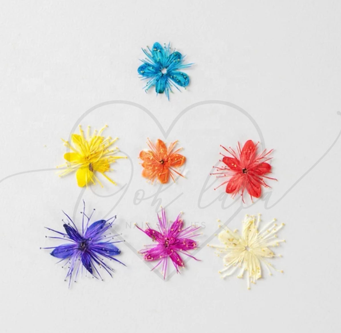 Mixed Flower Pack - 20pc