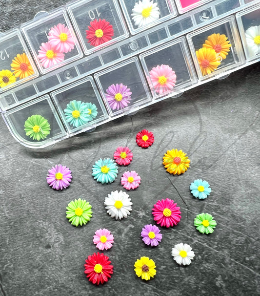 Rainbow Daisy Tray