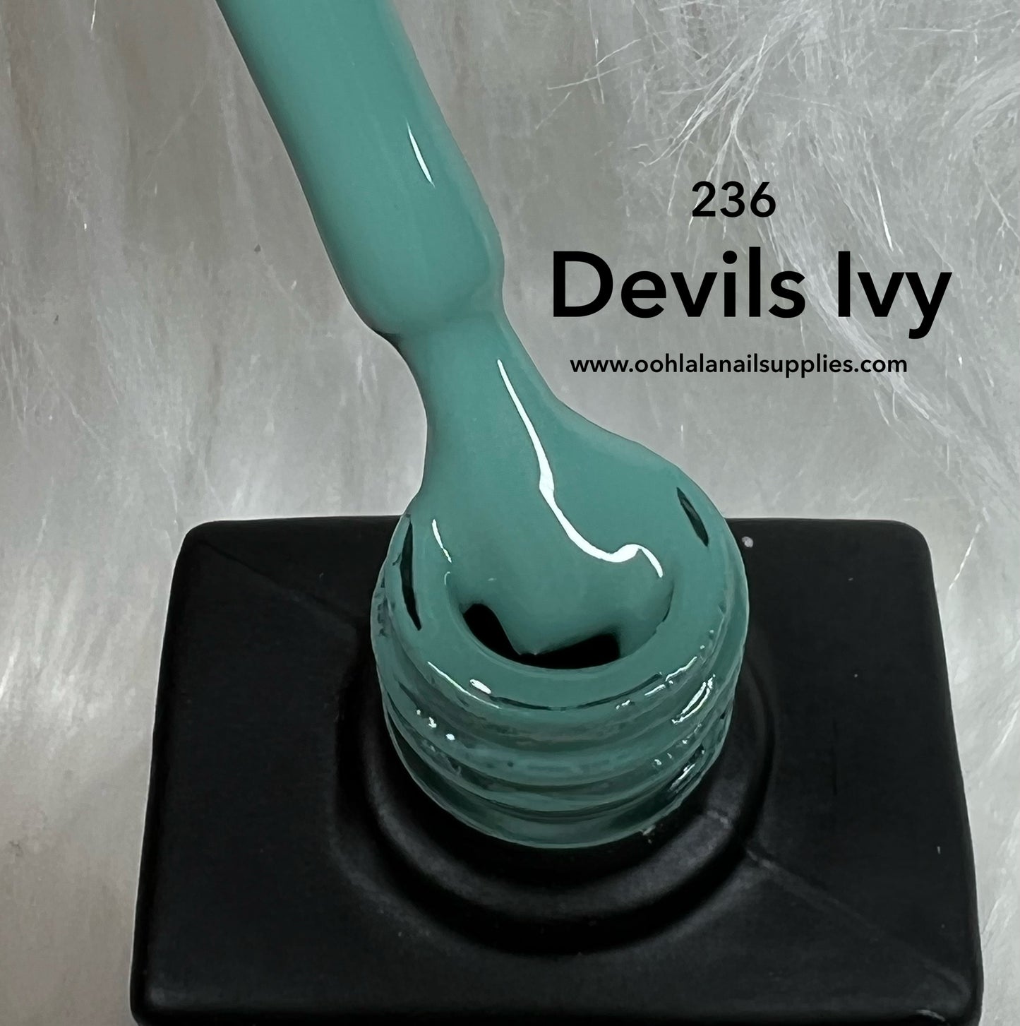 Devils Ivy - 236