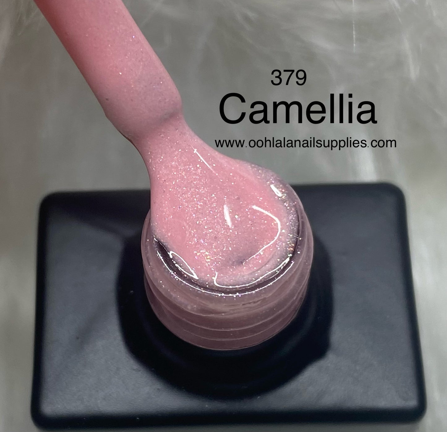 Camellia - 379