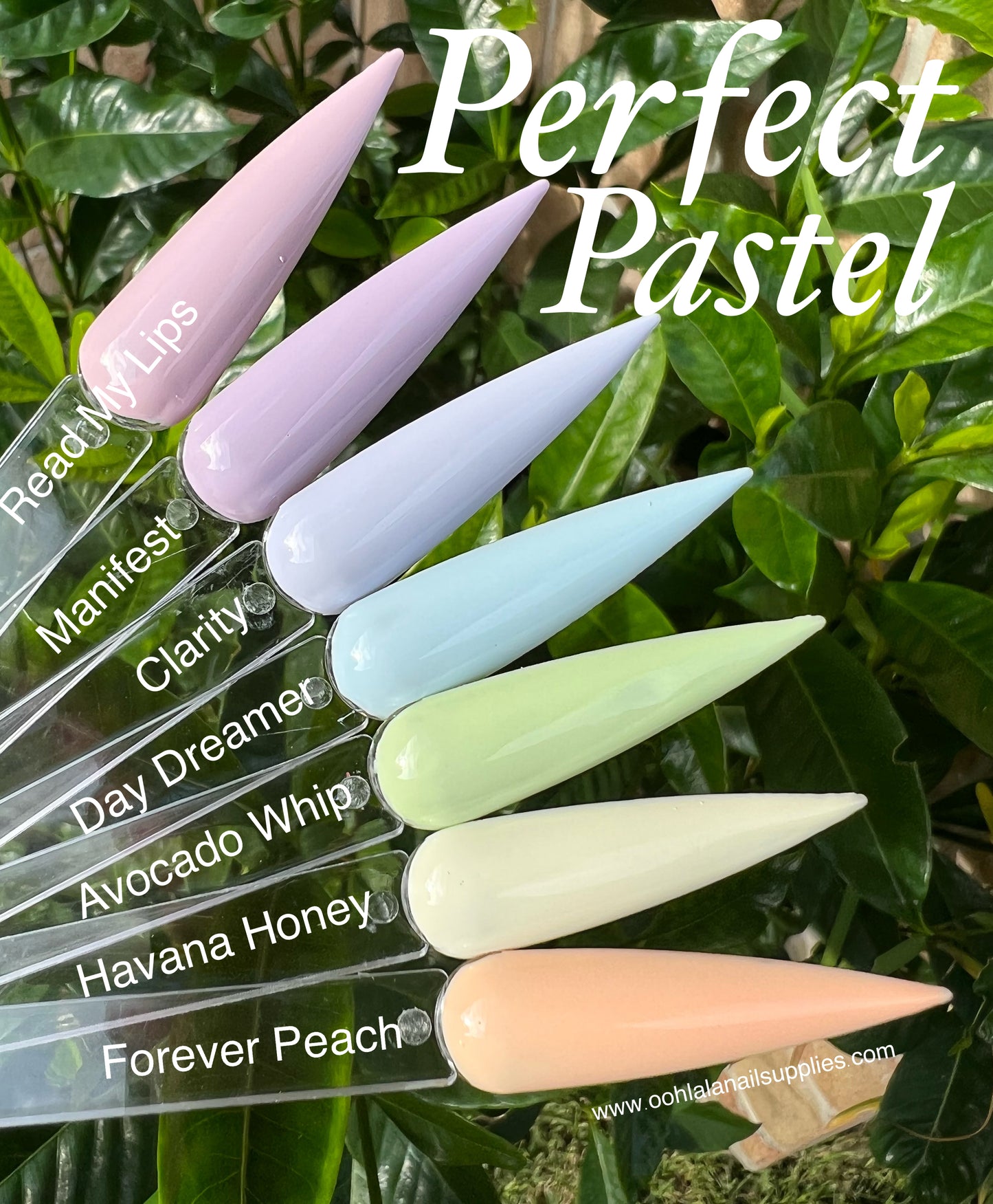 Perfect Pastel Collection